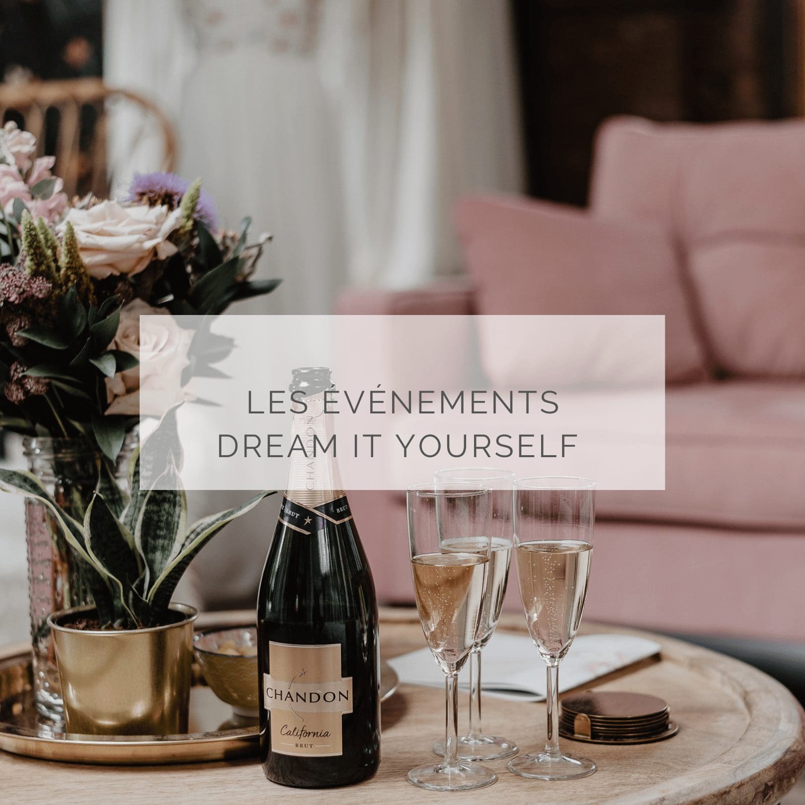 événements dream it yourself 